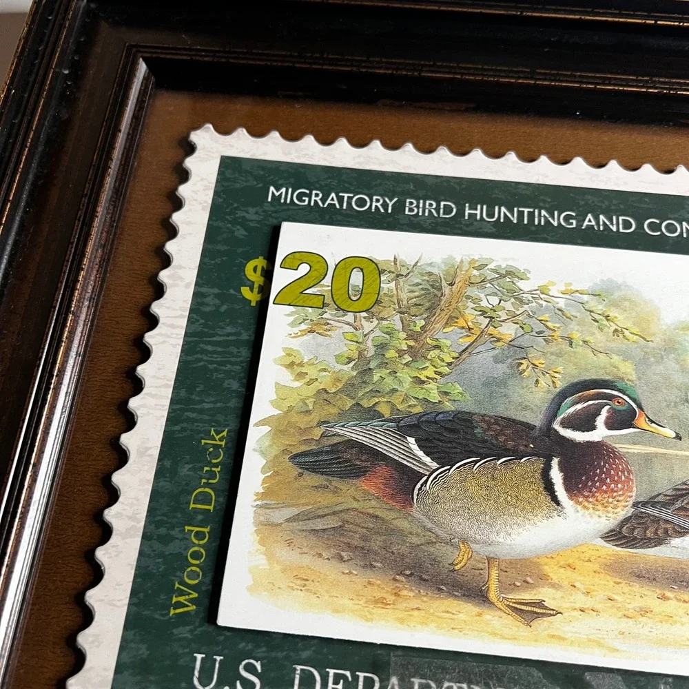 Framed Wood Duck Migratory Bird Hunting Conservation‎ Stamp Print 2007-2008 Art